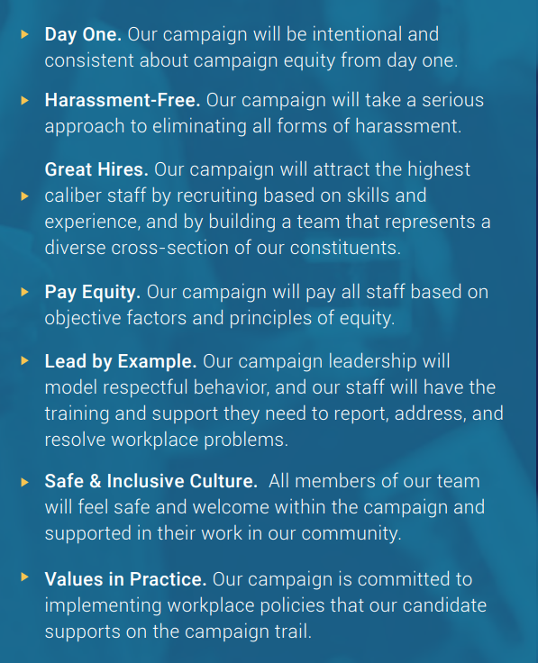 Working IDEAL Campaign Equity Toolkit checklist excerpt