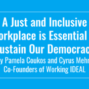 Cyrus Mehri Pam Coukos Working IDEAL on democracy and inclusivity