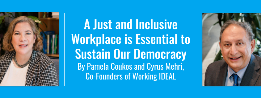 Cyrus Mehri Pam Coukos Working IDEAL on democracy and inclusivity